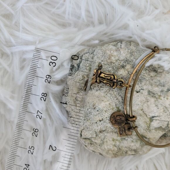 Alex and ani set of 2 energy infused bracelets - Picture 10 of 11